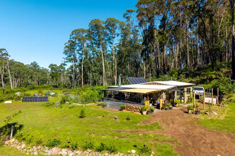 Second view of Homely rural property listing, 137 Yankees Gap Firetrail, Bemboka NSW 2550
