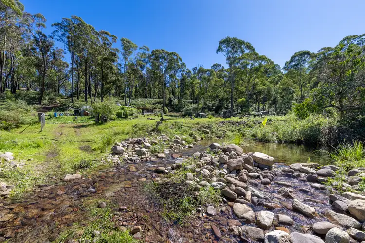 Third view of Homely rural property listing, 137 Yankees Gap Firetrail, Bemboka NSW 2550