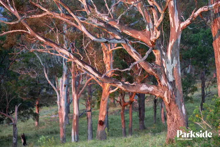 Fourth view of Homely land listing, LOT 321 Stage 3, Part Lot 163 Summit Street, Stream Hill NSW 2526