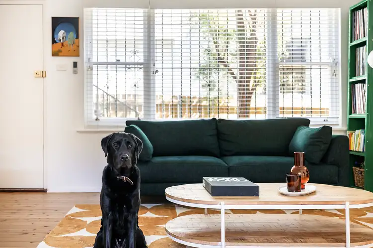 Third view of Homely apartment listing, 3/12 George Street, Marrickville NSW 2204