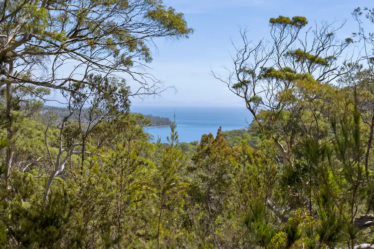 Main view of Homely land listing, LOT 2 and 3 White Beach Road, White Beach TAS 7184