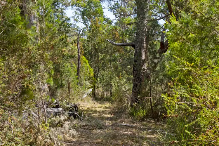 Seventh view of Homely land listing, LOT 2 and 3 White Beach Road, White Beach TAS 7184