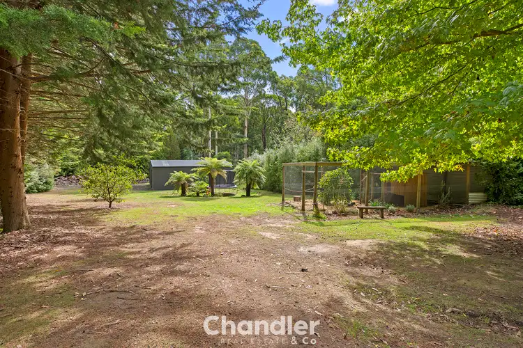 Second view of Homely house listing, 101 Emerald-Monbulk Road, Emerald VIC 3782