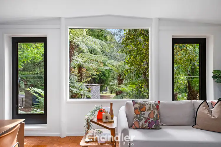 Sixth view of Homely house listing, 101 Emerald-Monbulk Road, Emerald VIC 3782