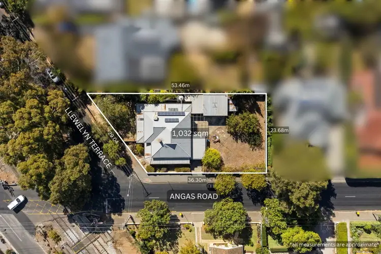 7 Llewelyn Terrace, Hawthorn SA 5062