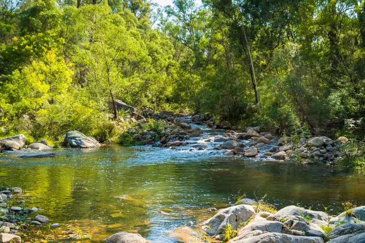 Sixth view of Homely house listing, 1697 Big Jack Mountain Road, Rocky Hall NSW 2550