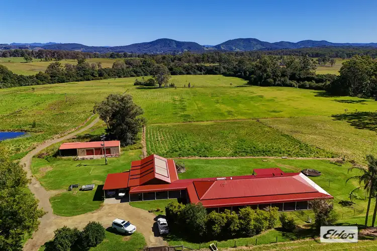 873 Cedar Party Road, Cedar Party NSW 2429