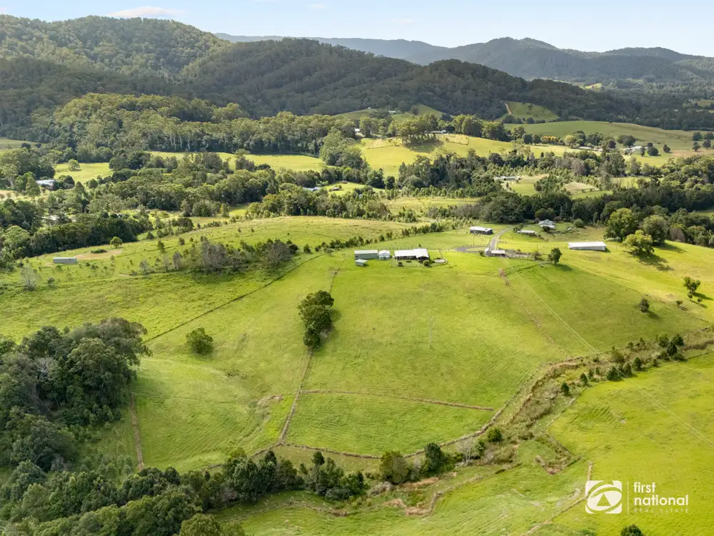 Main view of Homely rural property listing, 219 South Island Loop Road, Upper Orara NSW 2450
