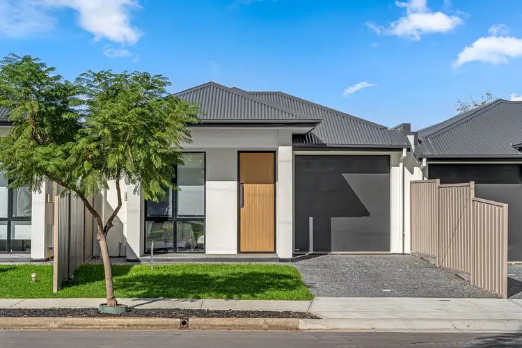 2 Regan Avenue, Morphettville SA 5043
