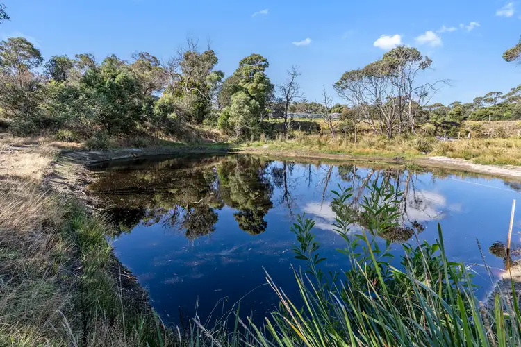 Fifth view of Homely house listing, 441 Sandy Points Road, Bridport TAS 7262