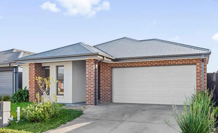 16 Snedden Street