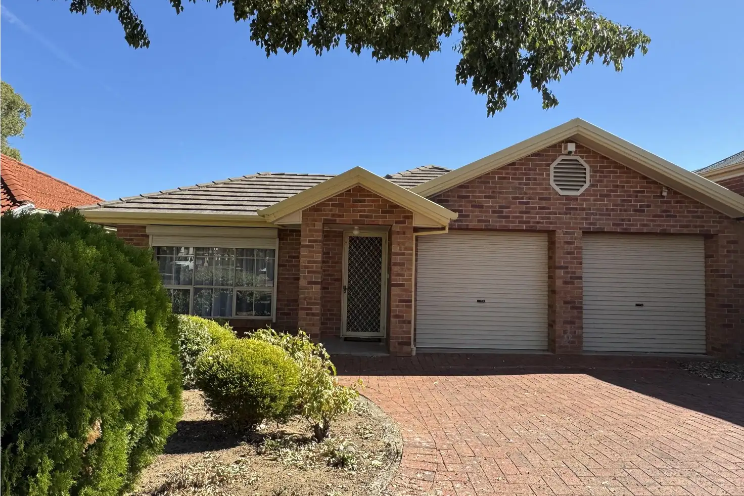 Main view of Homely house listing, 43 Frost Street, Newton SA 5074