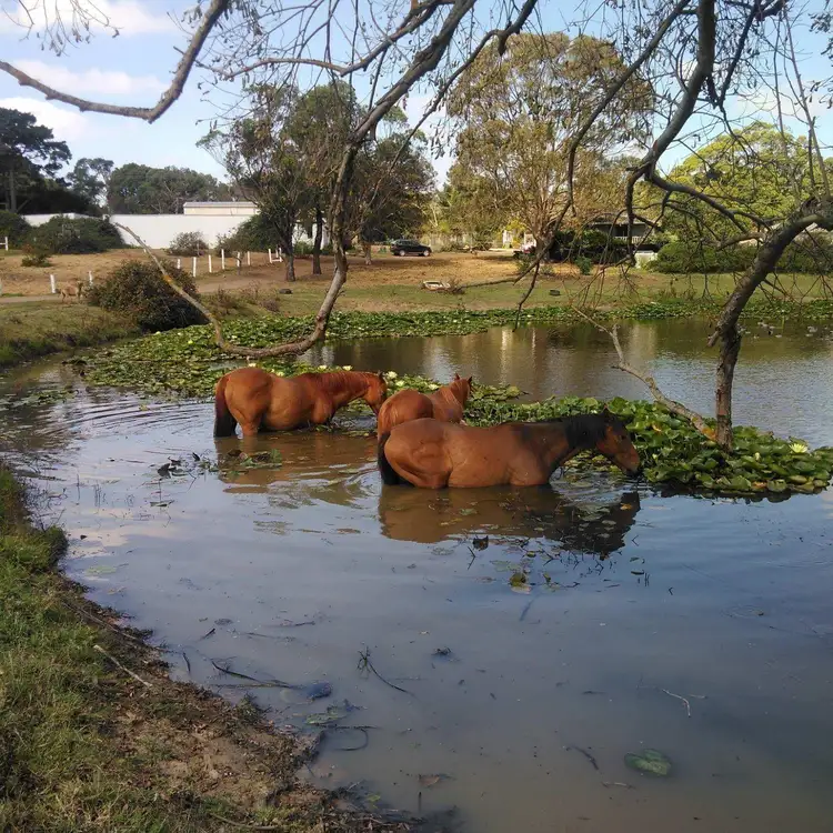 Sixth view of Homely land listing, 550 Moorooduc Highway, Mount Eliza VIC 3930