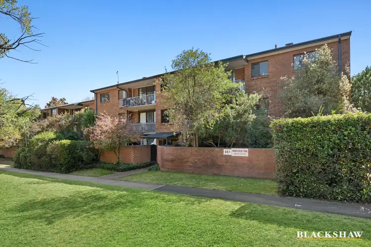 7/103 Canberra Avenue, Griffith ACT 2603