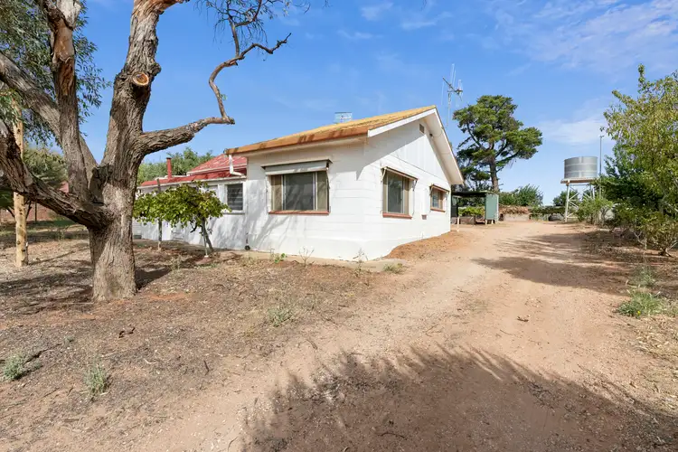 Main view of Homely house listing, 125 Cucumunga Street, Renmark SA 5341