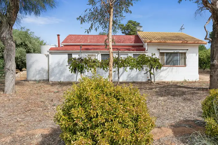 Second view of Homely house listing, 125 Cucumunga Street, Renmark SA 5341