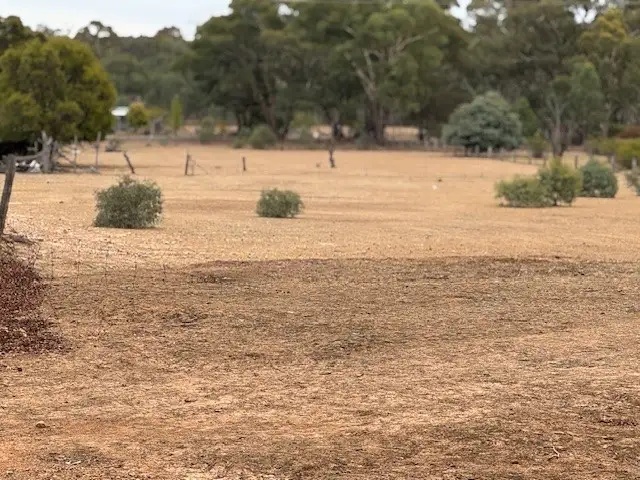 Ophir Road, Wedderburn VIC 3518