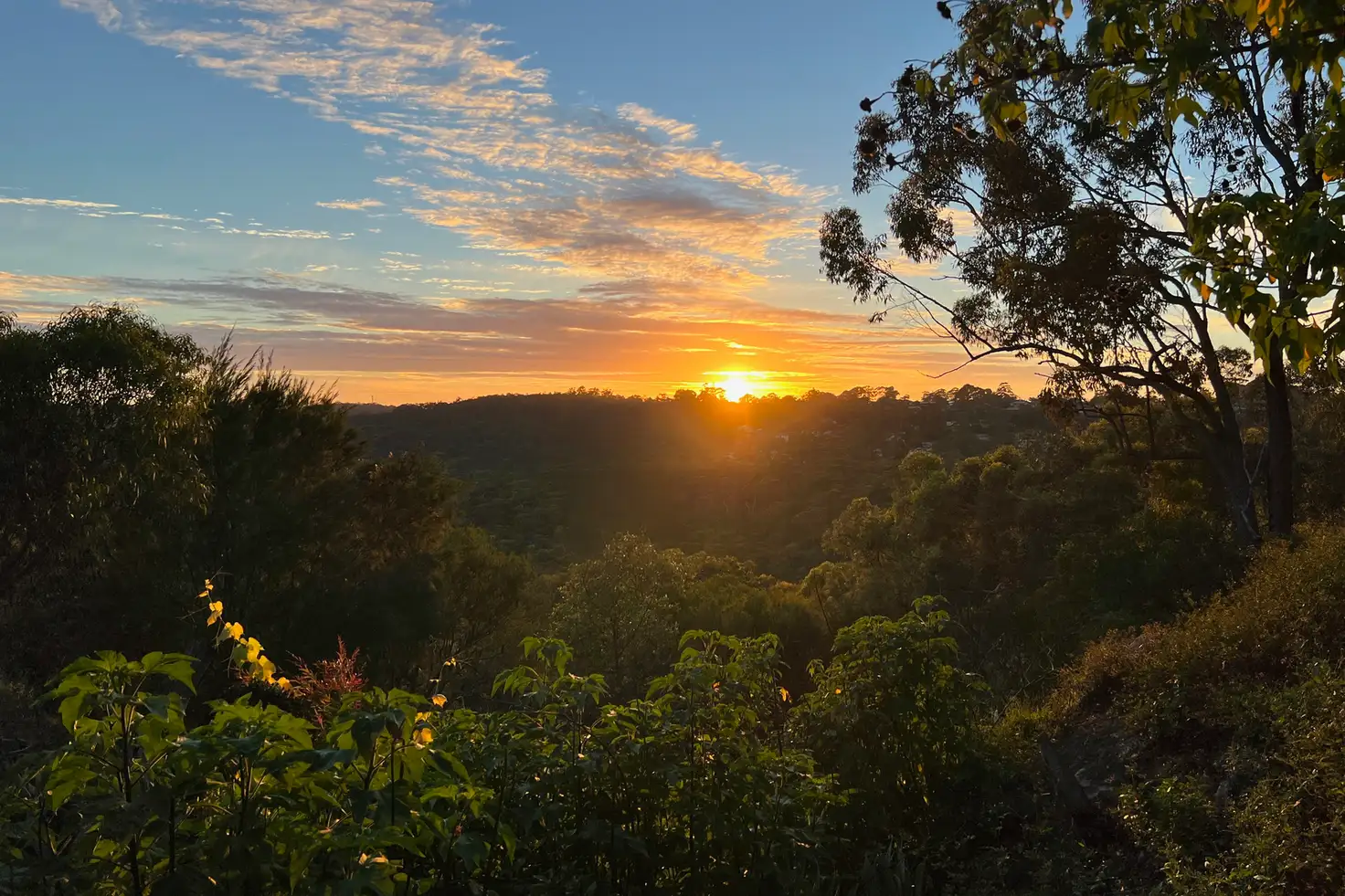 Main view of Homely house listing, 162-166 Turner Road, Berowra Heights NSW 2082