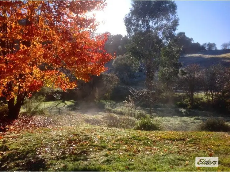 Sixth view of Homely house listing, 10 Mineral Lane, Yackandandah VIC 3749