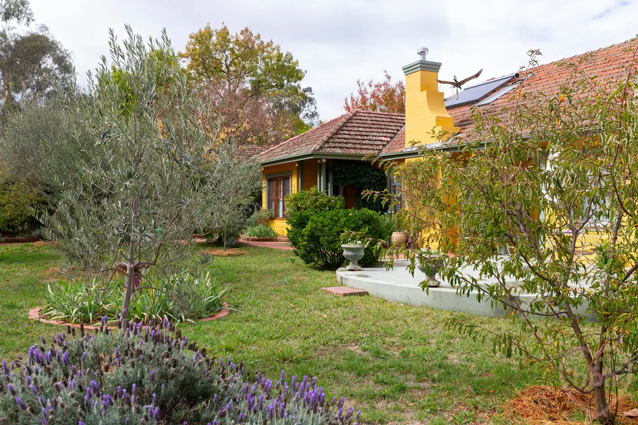 Main view of Homely house listing, 7 Corroboree Park, Ainslie ACT 2602