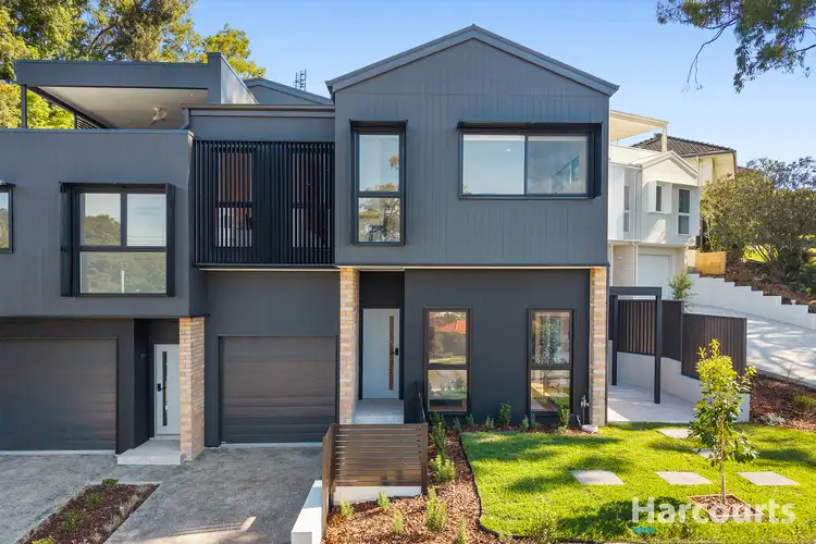 59 Ashbury Street, Adamstown Heights NSW 2289