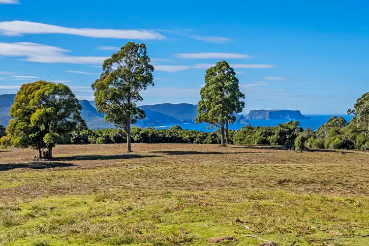 Main view of Homely land listing, 312 Lookout Road, Port Arthur TAS 7182