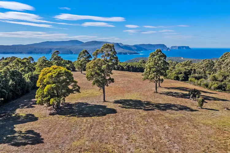 Fifth view of Homely land listing, 312 Lookout Road, Port Arthur TAS 7182