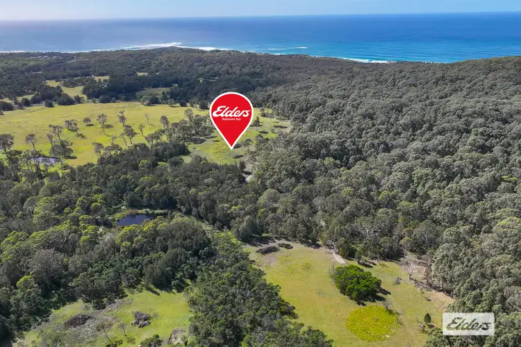 Main view of Homely land listing, LOT 269 Congo Road, Congo NSW 2537