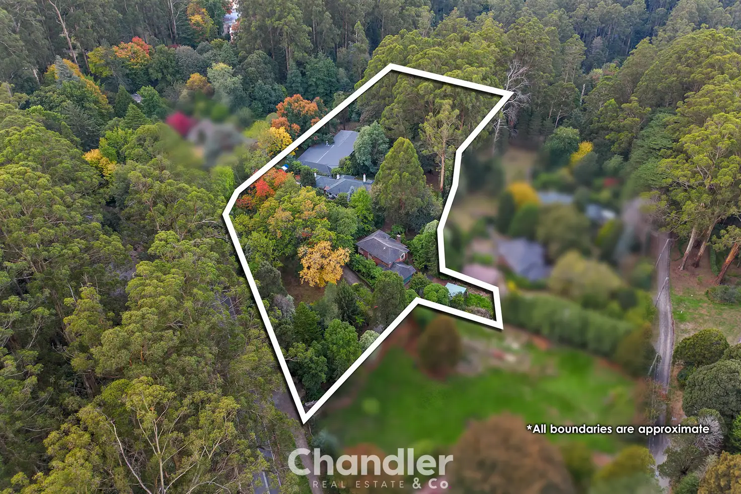 Main view of Homely house listing, 5 Sherbrooke Road, Sherbrooke VIC 3789