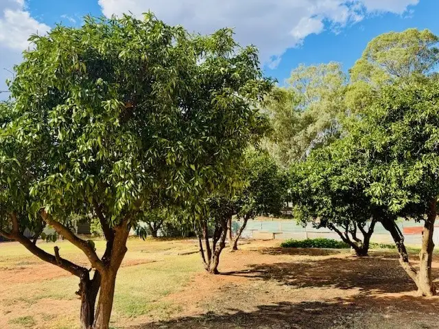 155 Second Street, Merbein VIC 3505