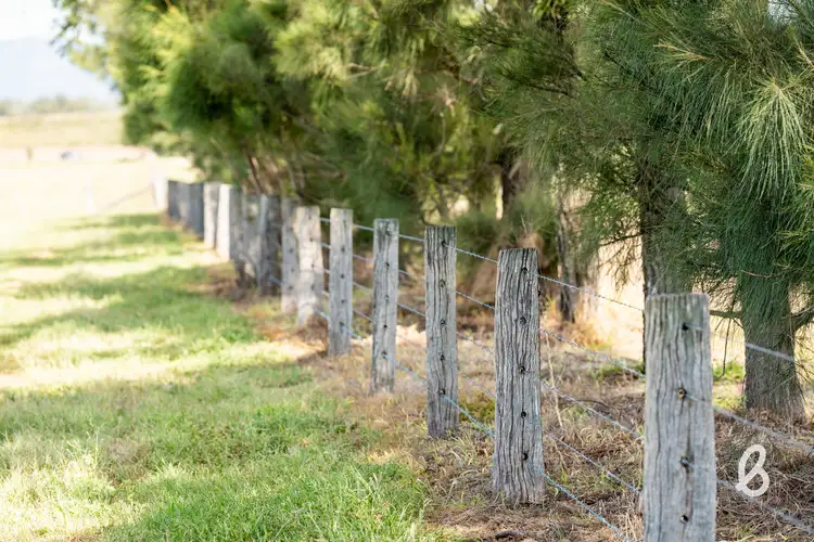 Sixth view of Homely rural property listing, Lot 1 New England Highway, Singleton NSW 2330