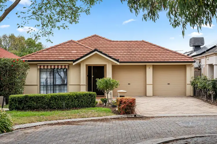 6 McFarlane Avenue, Mitchell Park SA 5043
