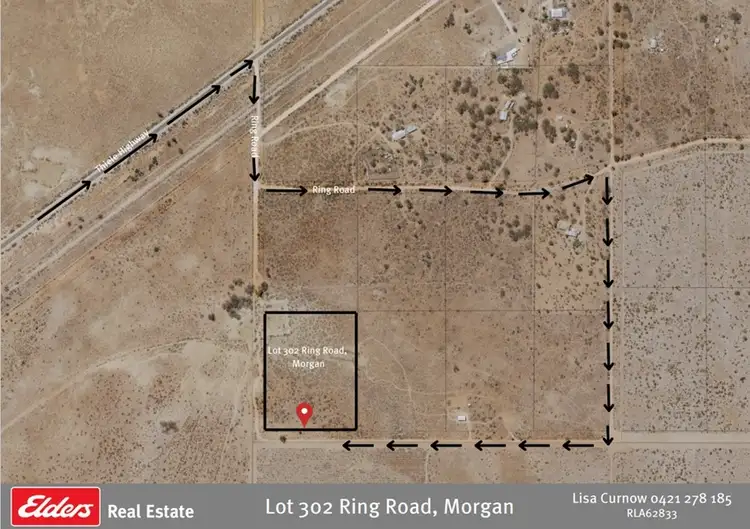 Main view of Homely rural property listing, LOT 302 Ring Road, Morgan SA 5320
