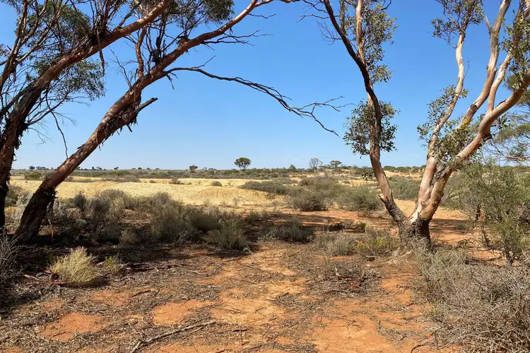 Second view of Homely rural property listing, LOT 302 Ring Road, Morgan SA 5320
