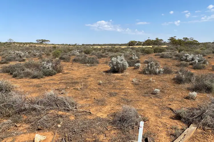 Fourth view of Homely rural property listing, LOT 302 Ring Road, Morgan SA 5320