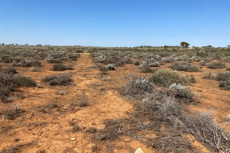 Fifth view of Homely rural property listing, LOT 302 Ring Road, Morgan SA 5320