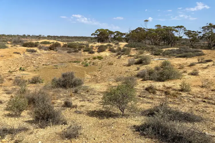Sixth view of Homely rural property listing, LOT 302 Ring Road, Morgan SA 5320