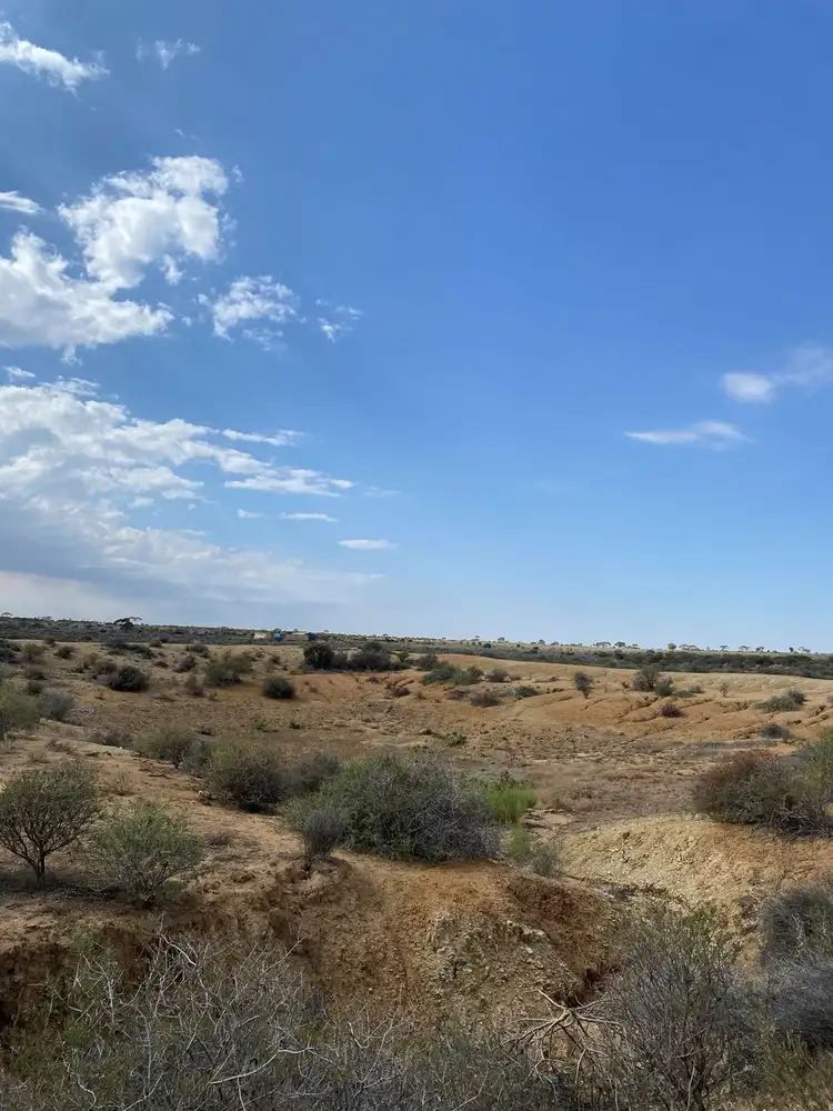 Seventh view of Homely rural property listing, LOT 302 Ring Road, Morgan SA 5320