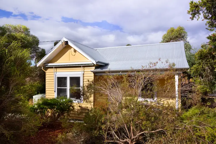 12 Sheehan Street
