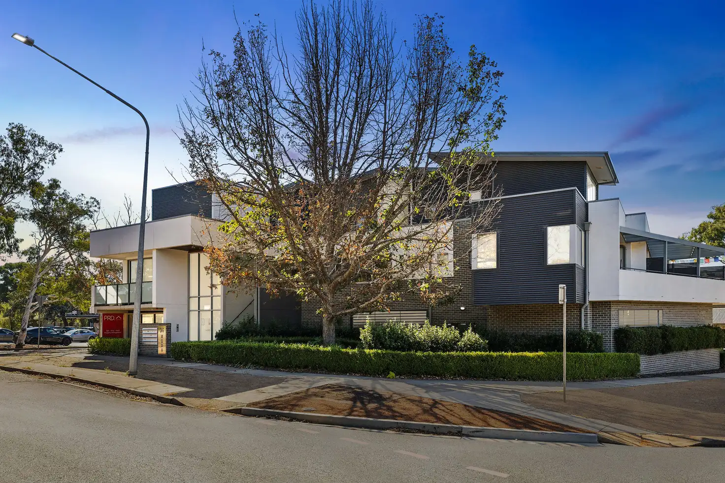 Main view of Homely apartment listing, 8/36 Petterd Street, Page ACT 2614