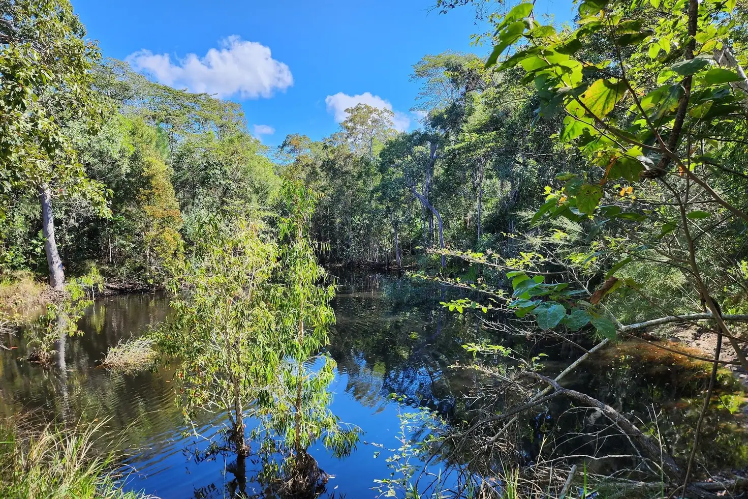 Main view of Homely land listing, 220 Yaxleys Road, Byfield QLD 4703