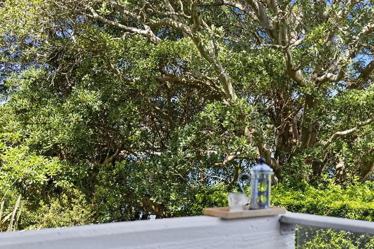 Fifth view of Homely apartment listing, 8/4 Munro Street, Mcmahons Point NSW 2060