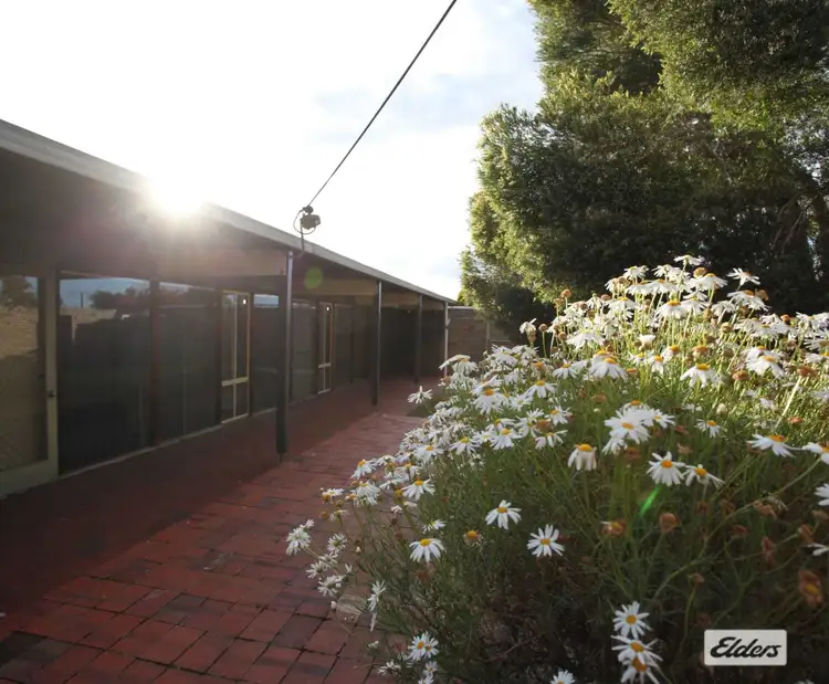 Second view of Homely studio listing, 5/31 Seaby Street, Stawell VIC 3380