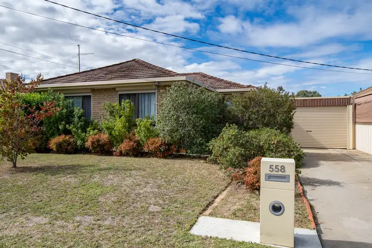 558 Kemp Street, Lavington NSW 2641