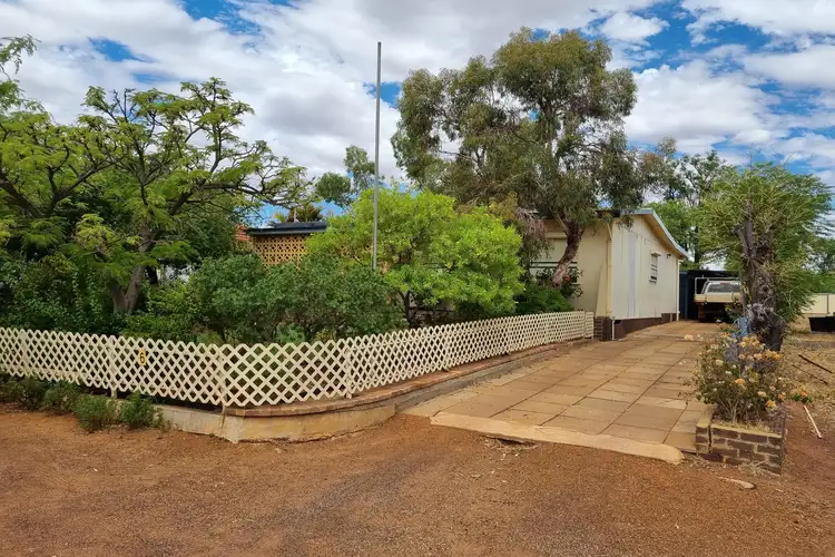 Main view of Homely house listing, 6 Birdwood Street, Mullewa WA 6630