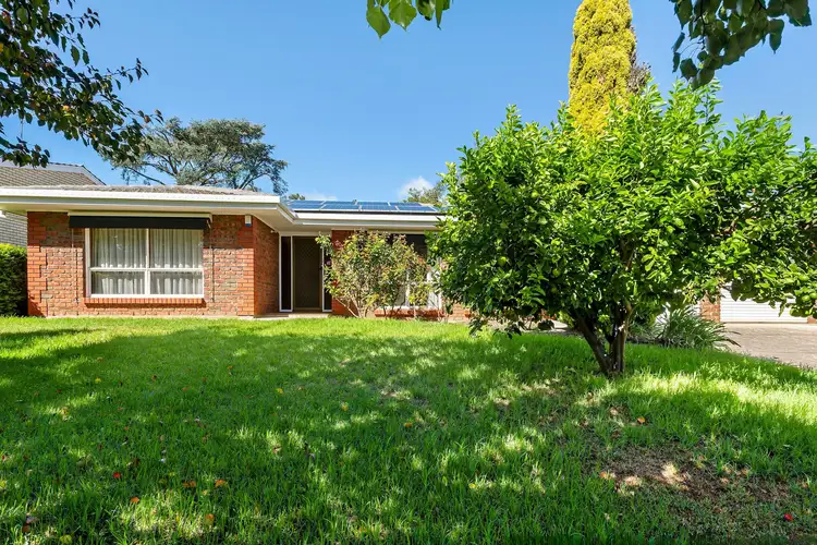 4A Clearview Street, Beaumont SA 5066