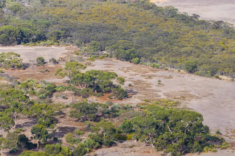 Fifth view of Homely rural property listing, LOT 3 South Coast Road, Seddon SA 5223