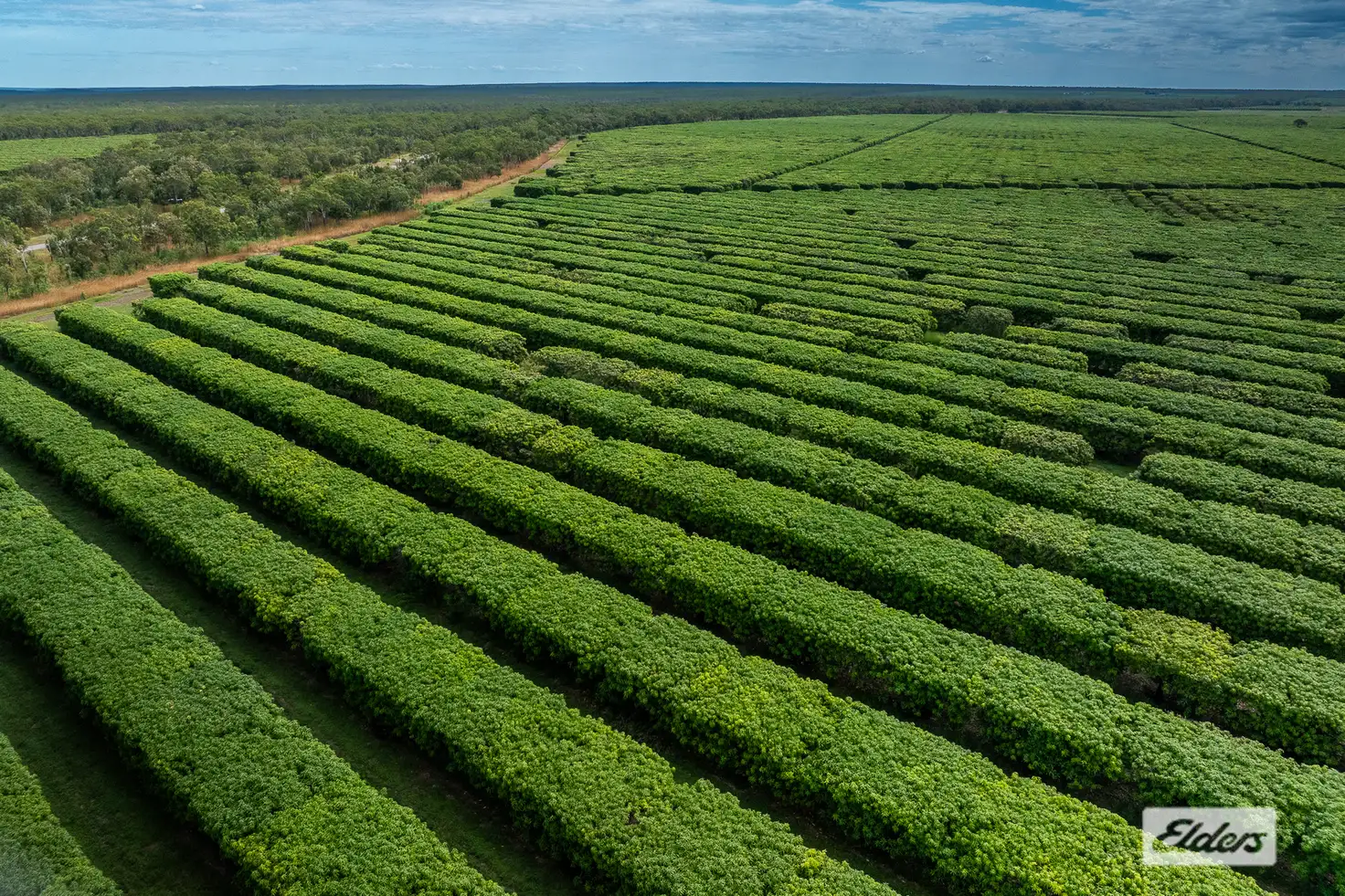 Main view of Homely rural property listing, Address available on request