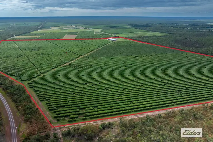 Fourth view of Homely rural property listing, Address available on request