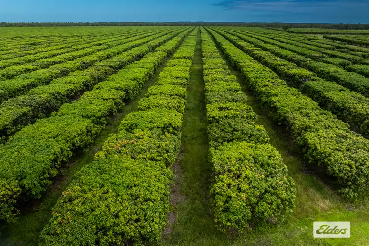 Fifth view of Homely rural property listing, Address available on request